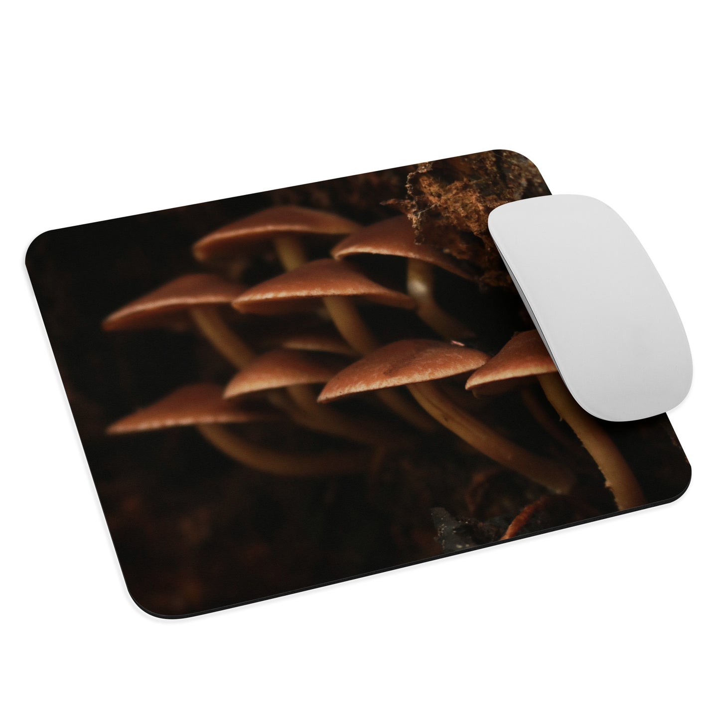 Forest Floor Mouse pad