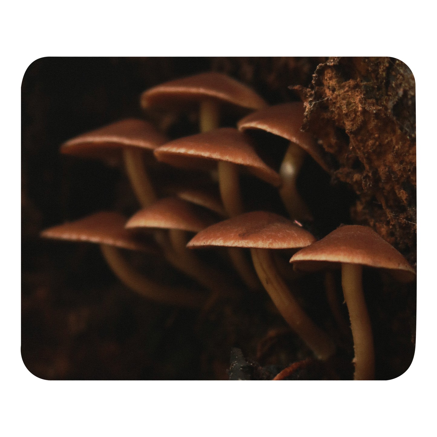 Forest Floor Mouse pad