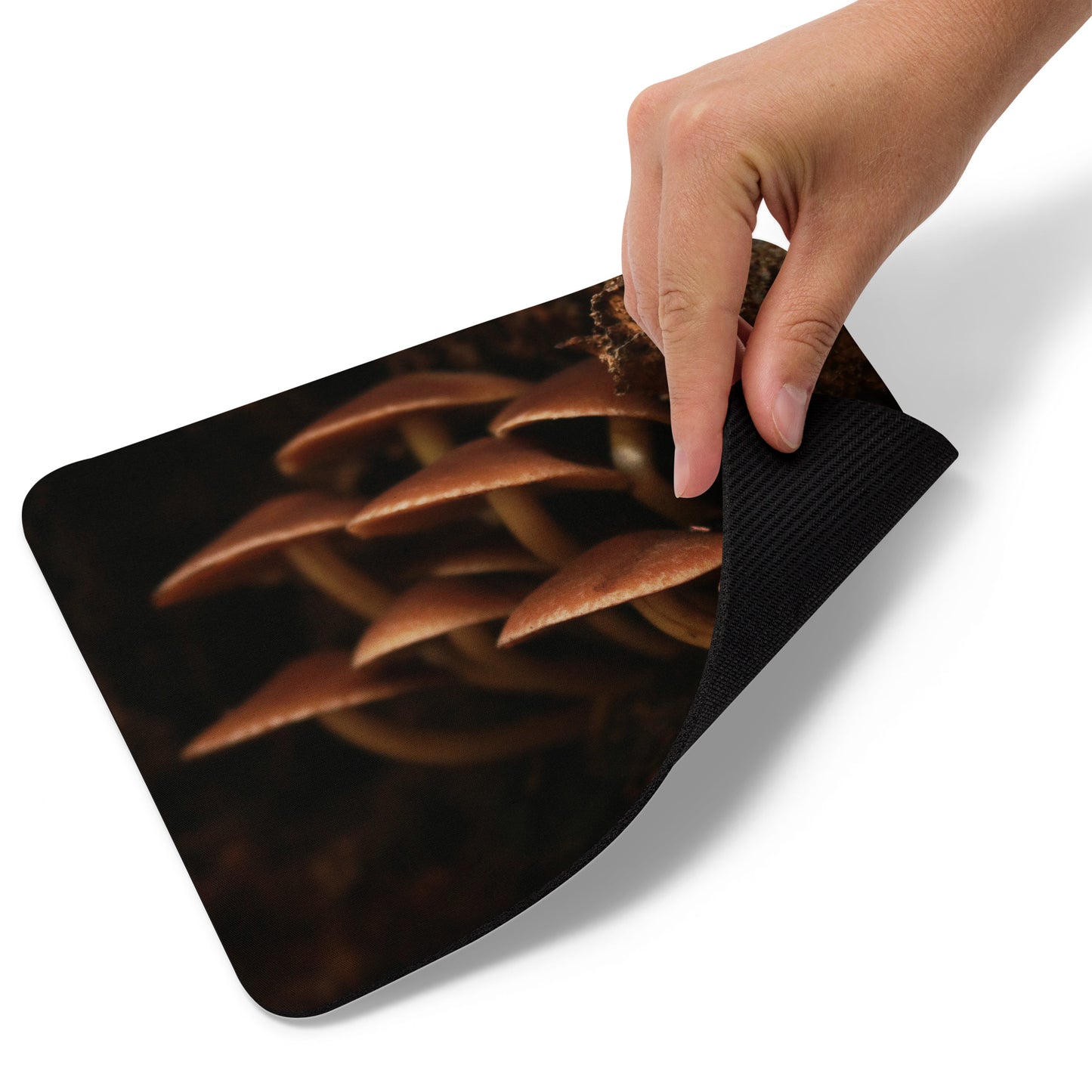 Forest Floor Mouse pad